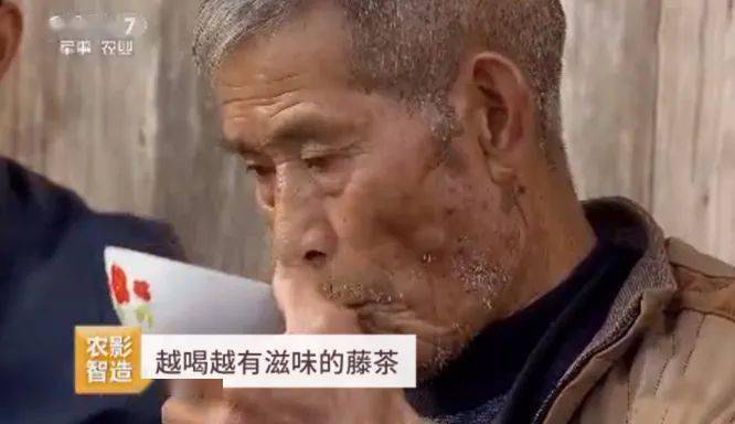 富硒藤茶怎么卖货（富硒藤茶多少钱一斤）-硒宝网