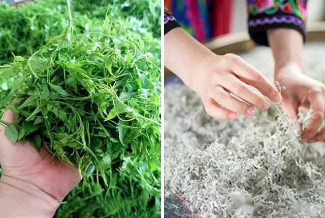 富硒藤茶怎么卖货（富硒藤茶多少钱一斤）-硒宝网