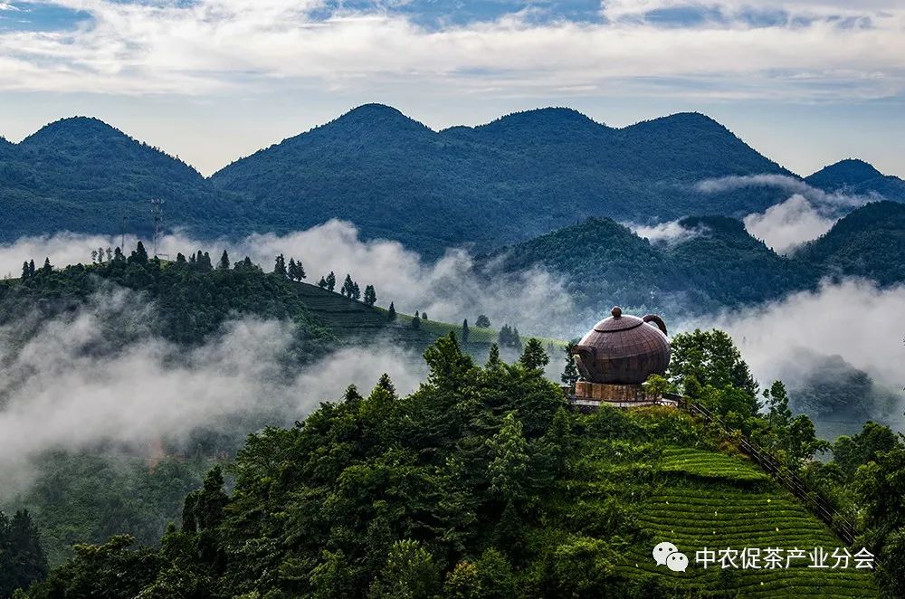 湖北特产富硒贡茶（恩施富硒贡芽价格表）-硒宝网