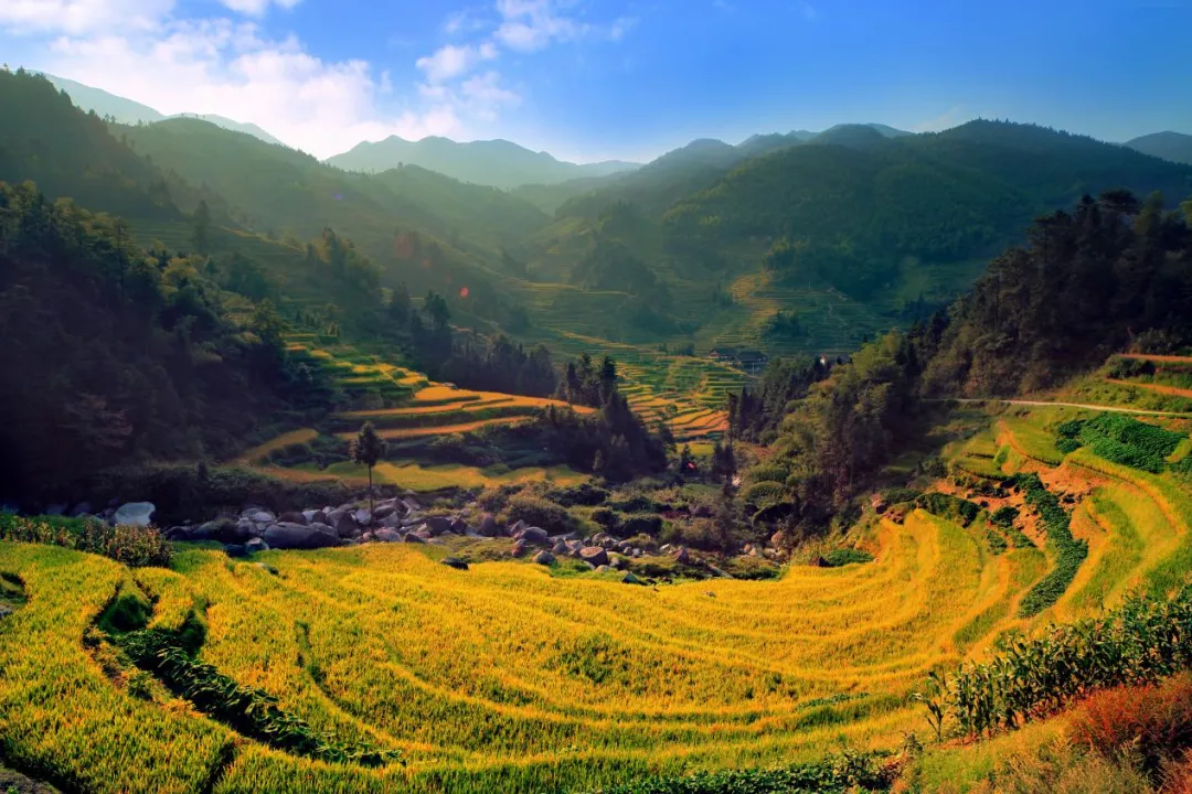 新化天门富硒寒茶(新化天门有哪些小学)-硒宝网