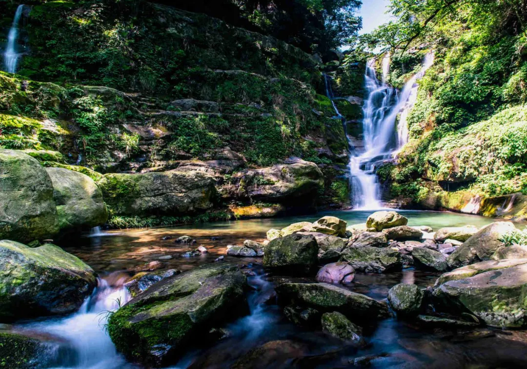 新化天门富硒寒茶(新化天门有哪些小学)-硒宝网