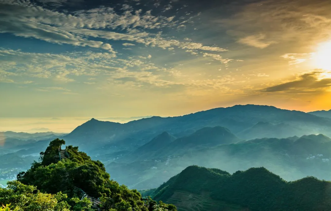 新化天门富硒寒茶(新化天门有哪些小学)-硒宝网