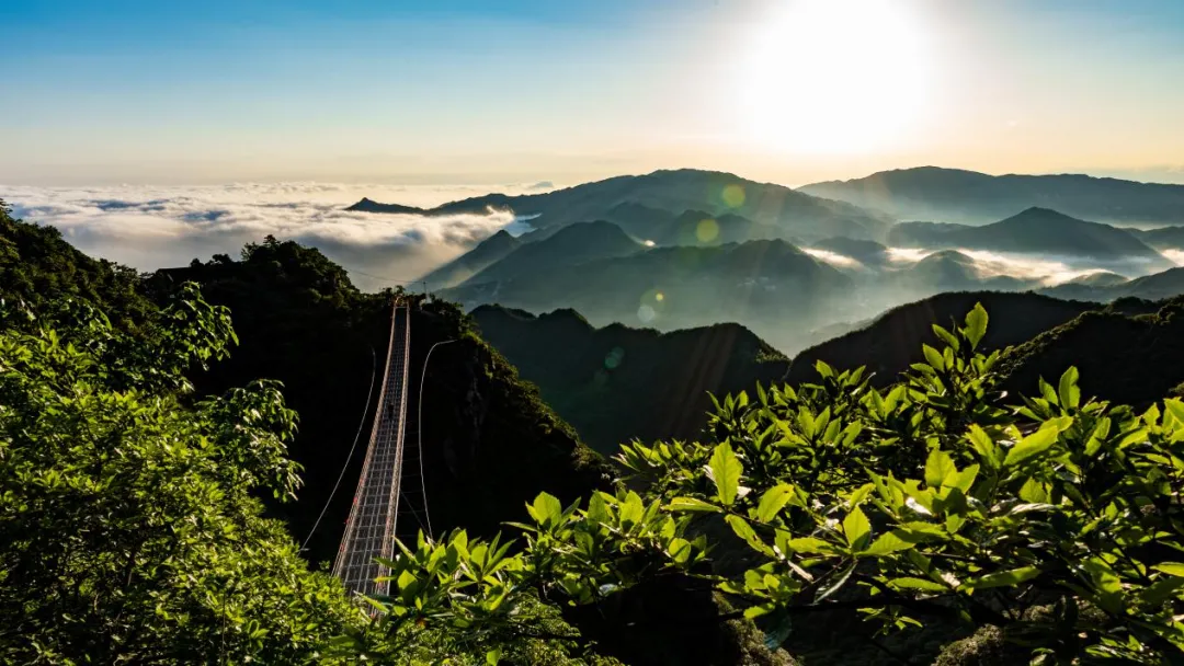 新化天门富硒寒茶(新化天门有哪些小学)-硒宝网