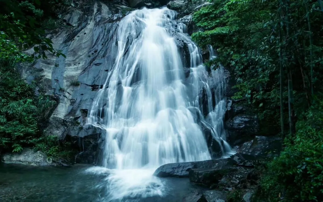 新化天门富硒寒茶(新化天门有哪些小学)-硒宝网