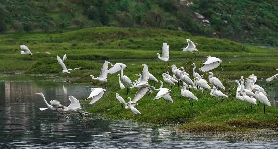 新化天门富硒寒茶(新化天门有哪些小学)-硒宝网