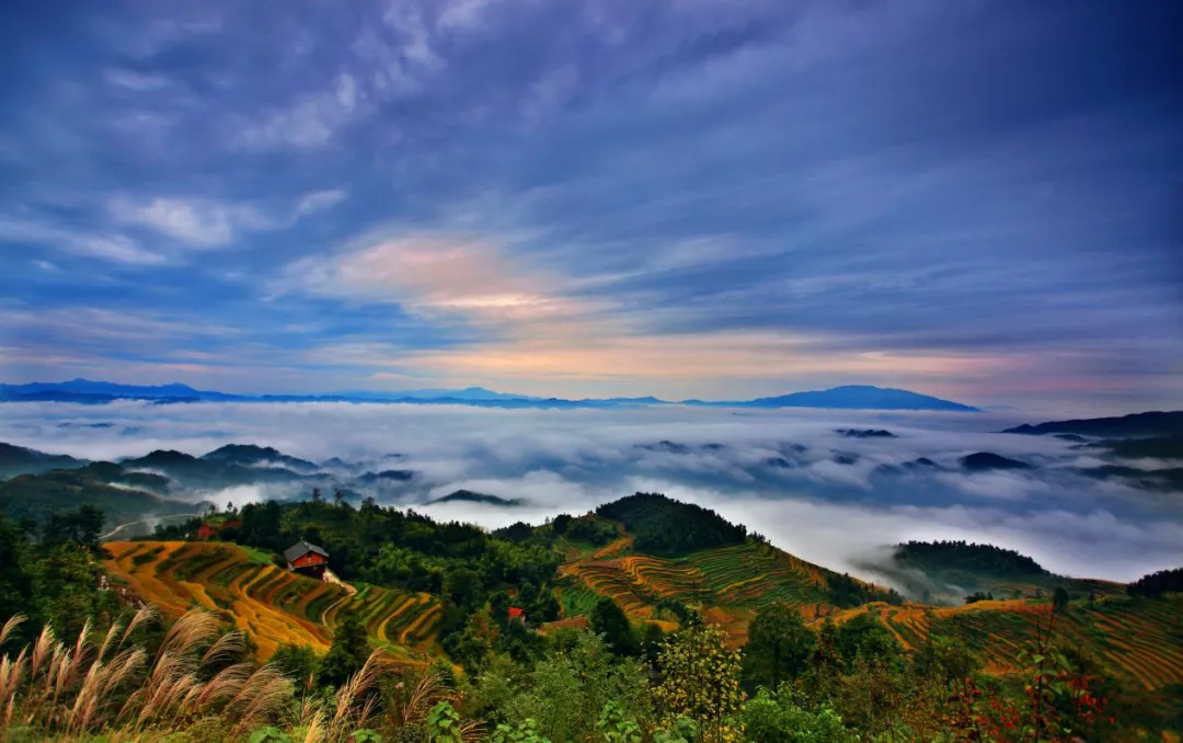 新化天门富硒寒茶(新化天门有哪些小学)-硒宝网