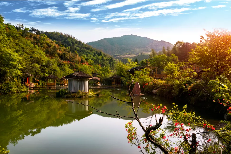 新化天门富硒寒茶(新化天门有哪些小学)-硒宝网