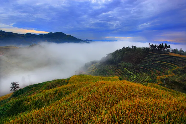 新化天门富硒寒茶(新化天门有哪些小学)-硒宝网