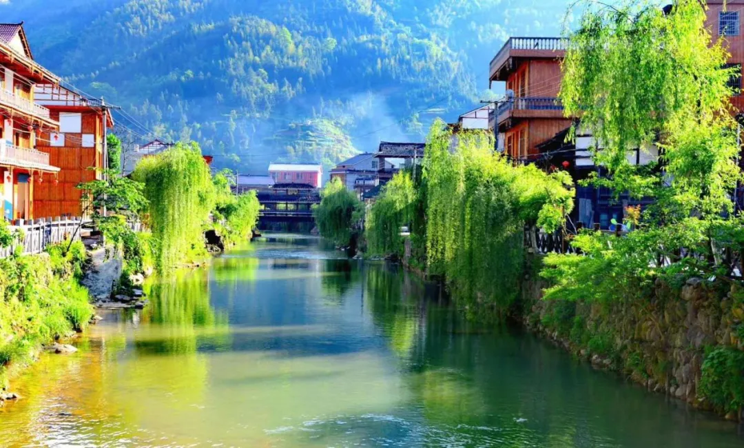 新化天门富硒寒茶(新化天门有哪些小学)-硒宝网