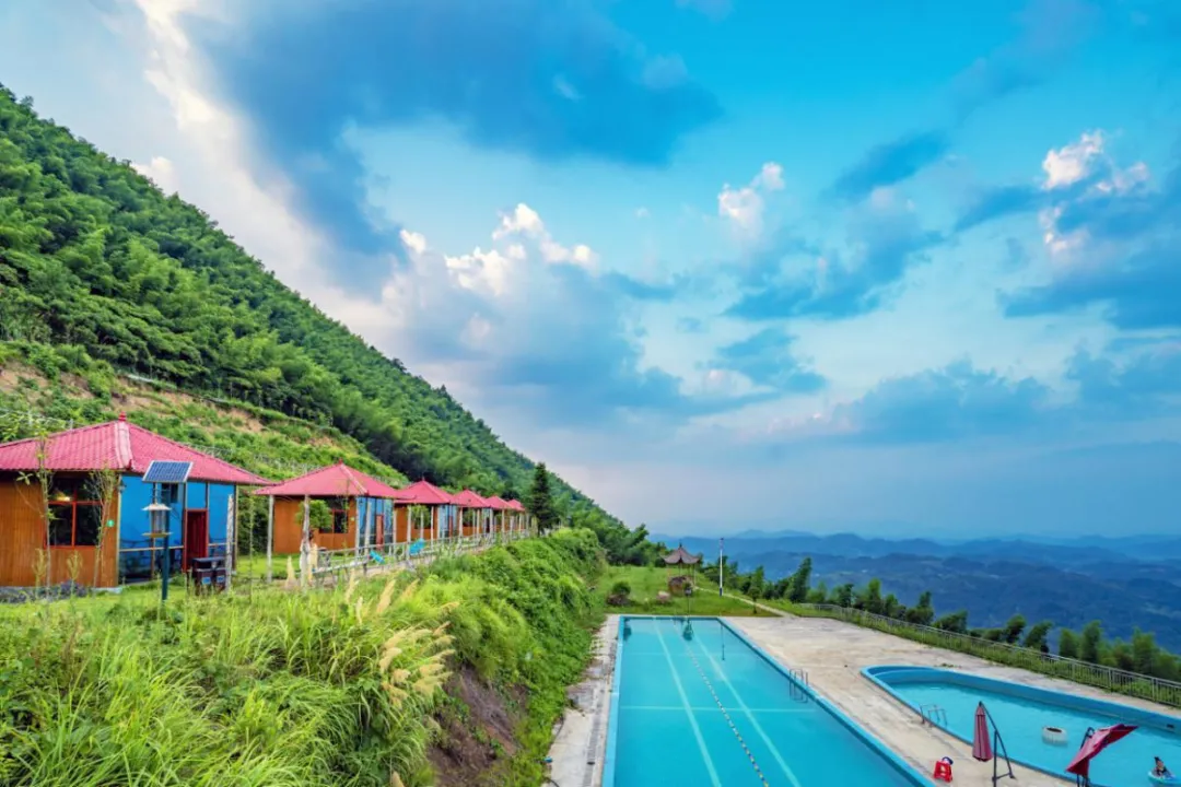 新化天门富硒寒茶(新化天门有哪些小学)-硒宝网