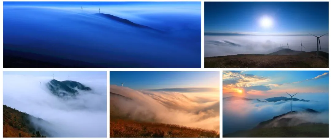 新化天门富硒寒茶(新化天门有哪些小学)-硒宝网