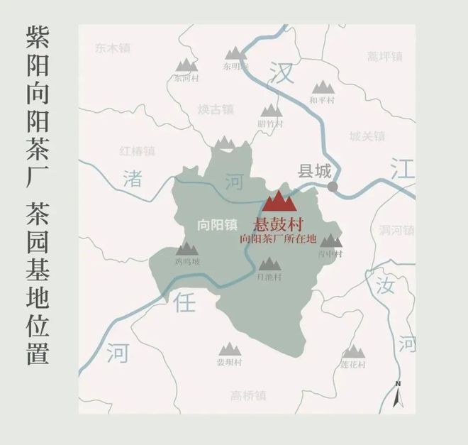 怎么泡紫阳富硒茶（紫阳富硒茶的好处）-硒宝网