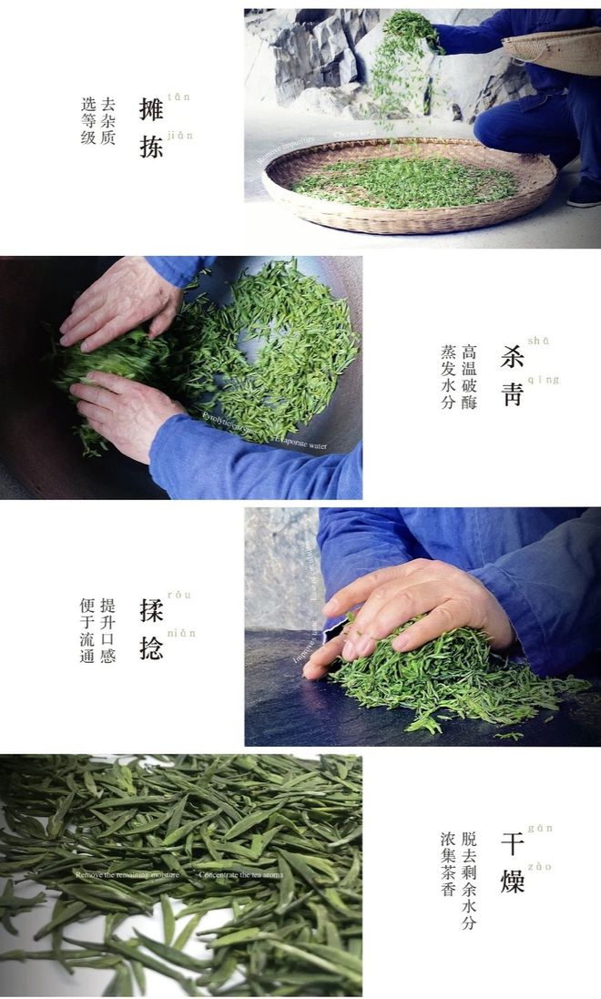 怎么泡紫阳富硒茶（紫阳富硒茶的好处）-硒宝网