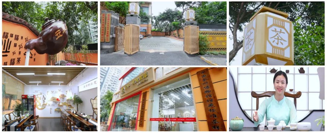 蒋家坡恩施富硒茶(恩施富硒茶厂)-硒宝网