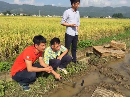 富硒叶茶定制费用(茶叶定制版是什么意思)-硒宝网
