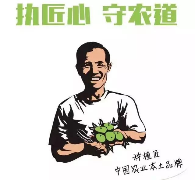 富硒叶茶定制费用(茶叶定制版是什么意思)-硒宝网