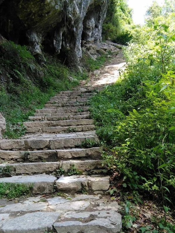 恩施与贵州富硒茶（2019恩施富硒茶）-硒宝网