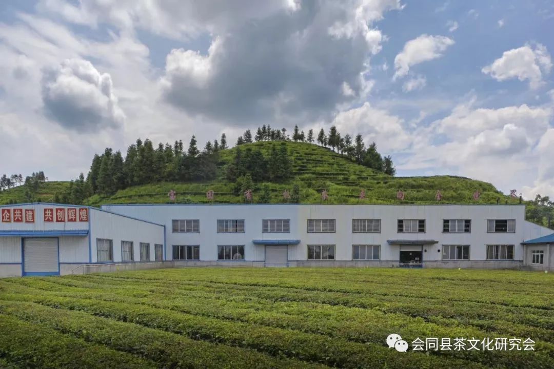 福建富硒茶哪里买(漳州富硒茶)-硒宝网