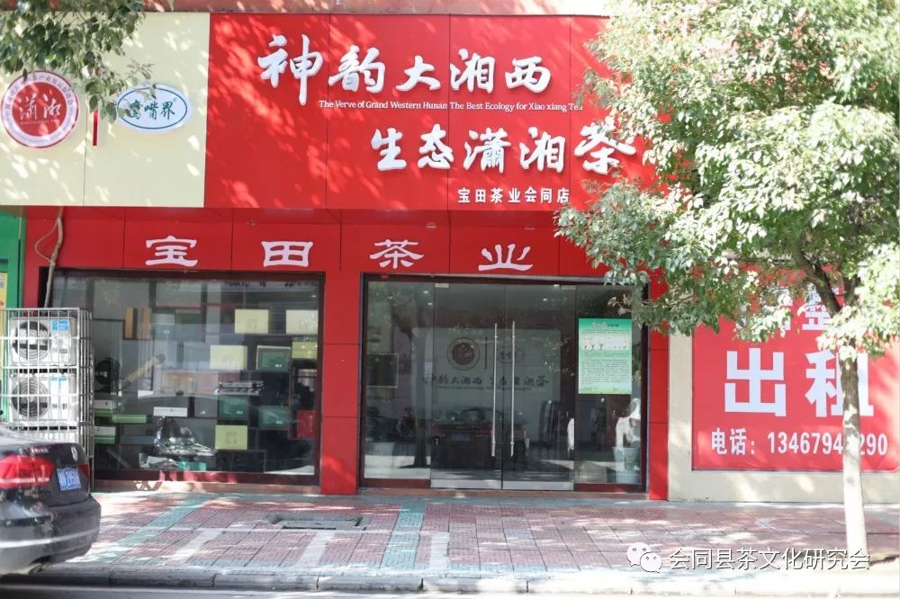 福建富硒茶哪里买(漳州富硒茶)-硒宝网