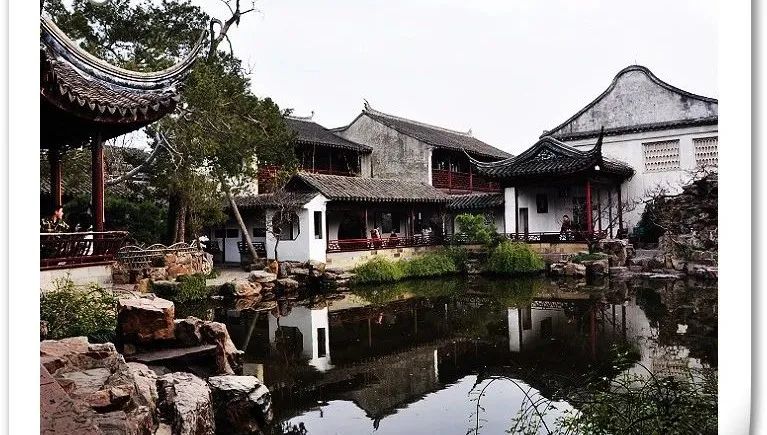 福建富硒茶哪里买（富硒茶叶产地）-硒宝网