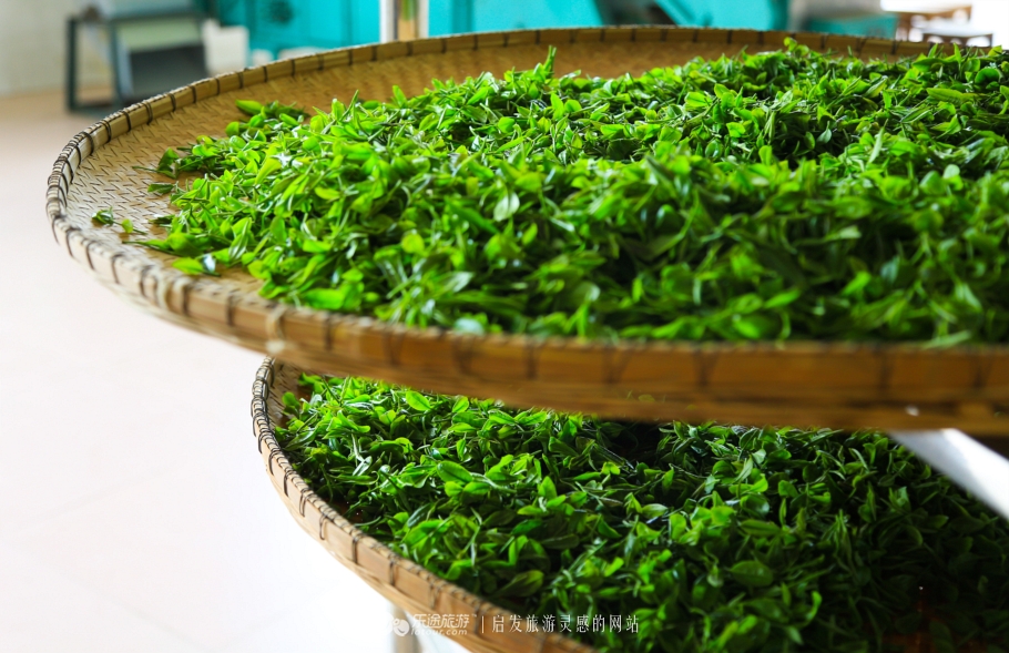 紫阳富硒茶主产地(紫阳富硒茶品牌大全)-硒宝网