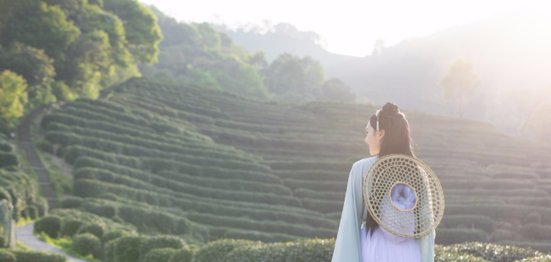 福建富硒茶哪里买(福建茶买富硒茶好吗)-硒宝网