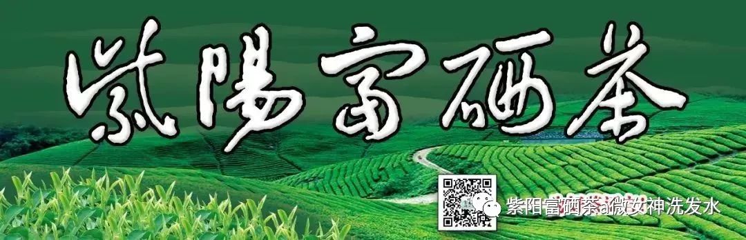 富硒清明茶的价格（清明茶价格富硒多少）-硒宝网