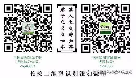 富硒清明茶的价格（清明茶价格富硒多少）-硒宝网