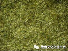 富硒清明茶的价格（富硒清明茶一斤）-硒宝网