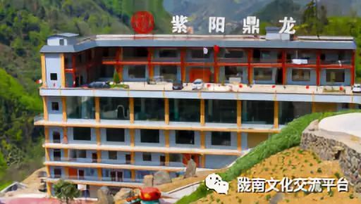 富硒清明茶的价格（富硒清明茶一斤）-硒宝网