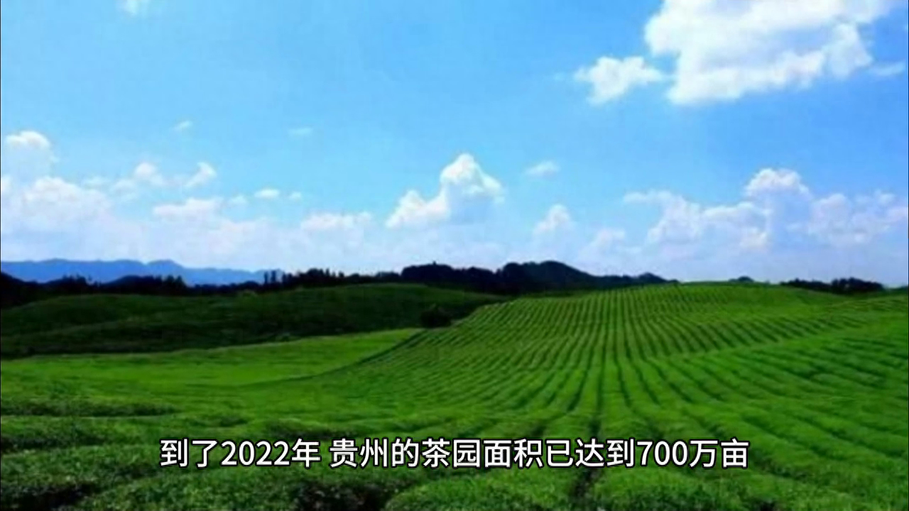 绍兴凤阳富锌硒茶(富硒茶庄)-硒宝网