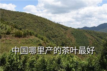 富硒茶哪里的最好(硒茶和富硒茶区别)-硒宝网