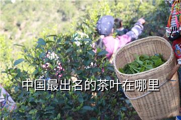 富硒茶哪里的最好(硒茶和富硒茶区别)-硒宝网