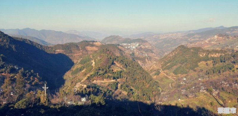 富硒茶哪里的最好(富硒茶优点)-硒宝网
