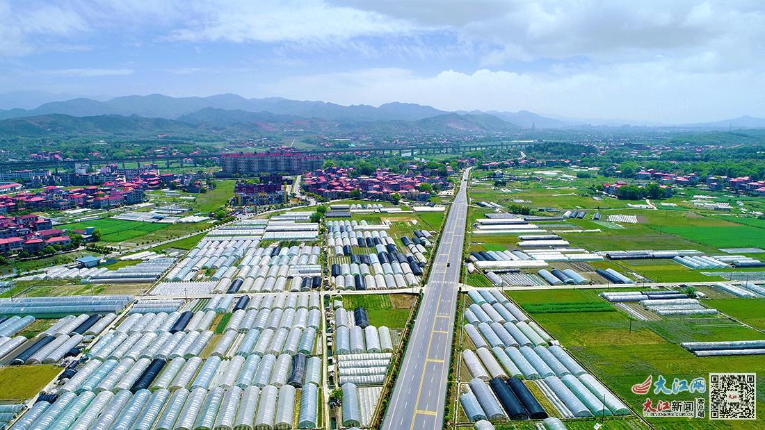 绍兴凤阳富锌硒茶(凤冈锌硒茶叶)-硒宝网