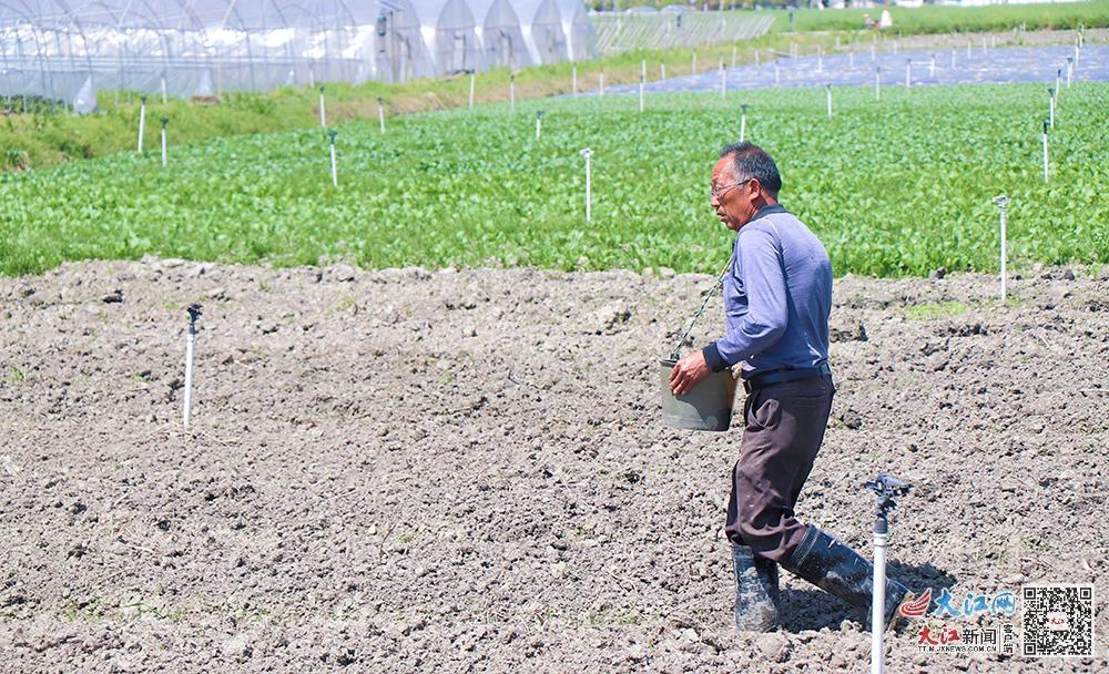 绍兴凤阳富锌硒茶(凤冈锌硒茶叶)-硒宝网
