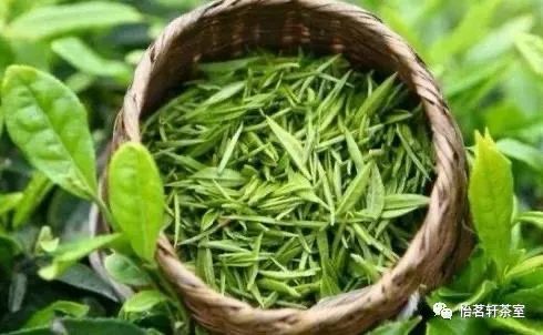 恩施富硒茶有点苦（恩施富硒新茶）-硒宝网