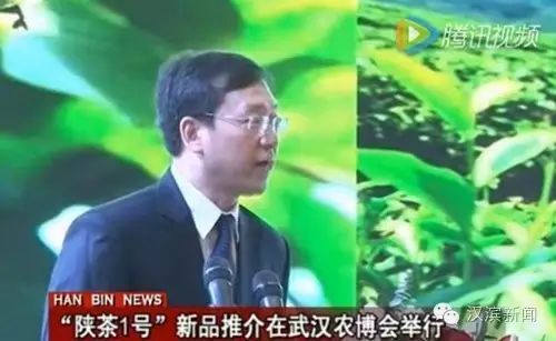 湖北醇厚的富硒茶（武汉富硒茶）-硒宝网