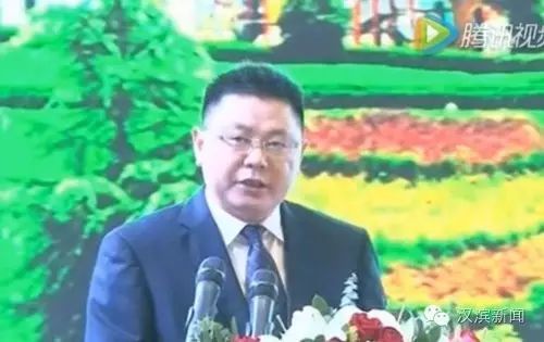 湖北醇厚的富硒茶（武汉富硒茶）-硒宝网