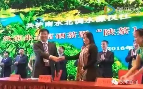 湖北醇厚的富硒茶（武汉富硒茶）-硒宝网