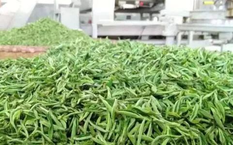 富硒茶推介词范文（推介茶会）-硒宝网