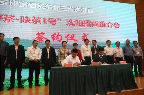 富硒茶推介词范文（推介茶会）-硒宝网