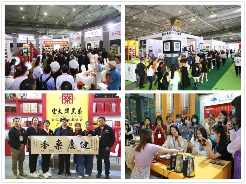 富硒茶推介词范文(富硒茶宣传语)-硒宝网