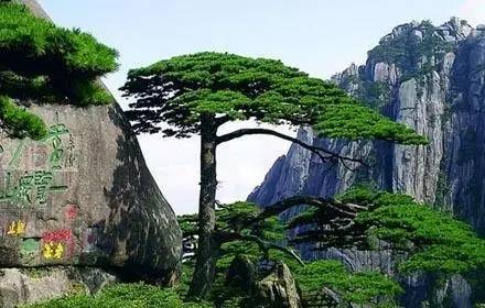 苏州好喝的富硒茶(苏州地区缺硒吗)-硒宝网