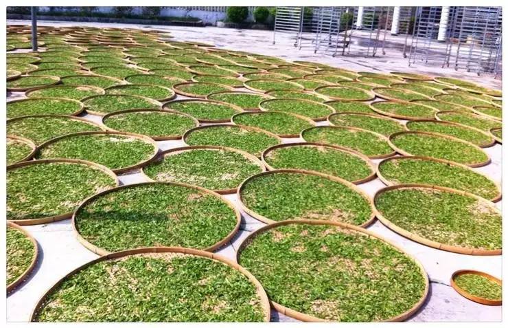 苏州好喝的富硒茶(苏州地区缺硒吗)-硒宝网