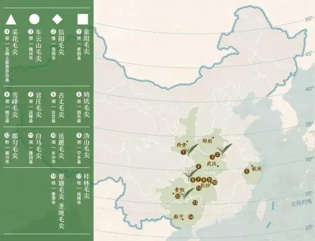 紫阳富硒茶的外形（紫阳富硒茶品牌大全）-硒宝网