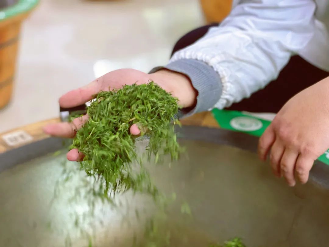 紫阳富硒茶的外形（紫阳富硒茶品牌大全）-硒宝网