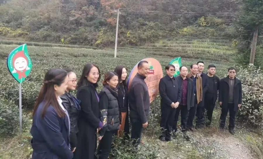 安康富硒茶的口感(安康富硒茶多少钱一斤汗水晨雾)-硒宝网