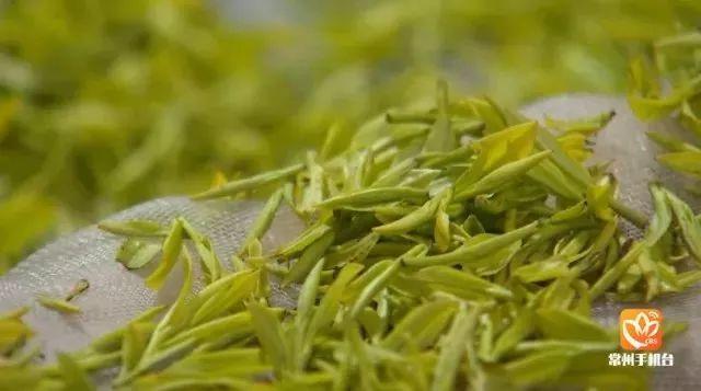 富硒清明茶微信号（富硒清明茶价格）-硒宝网