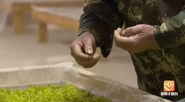 富硒清明茶微信号（富硒清明茶价格）-硒宝网